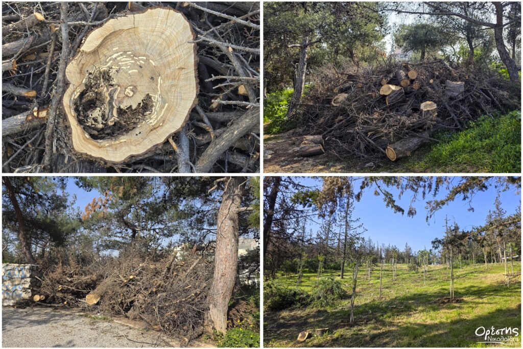 Σχέδιο αξιοποίησης και αποκατάστασης για το Άλσος Αγίου Φιλίππου.